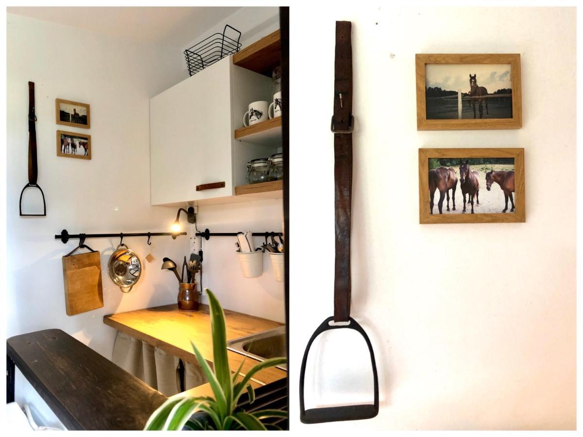 Apartamenty Lajkonik Dąbrówno Dış mekan fotoğraf