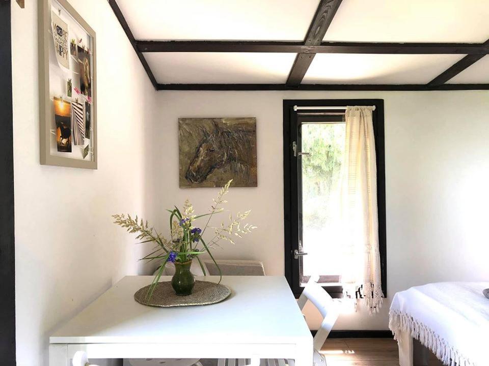 Apartamenty Lajkonik Dąbrówno Dış mekan fotoğraf