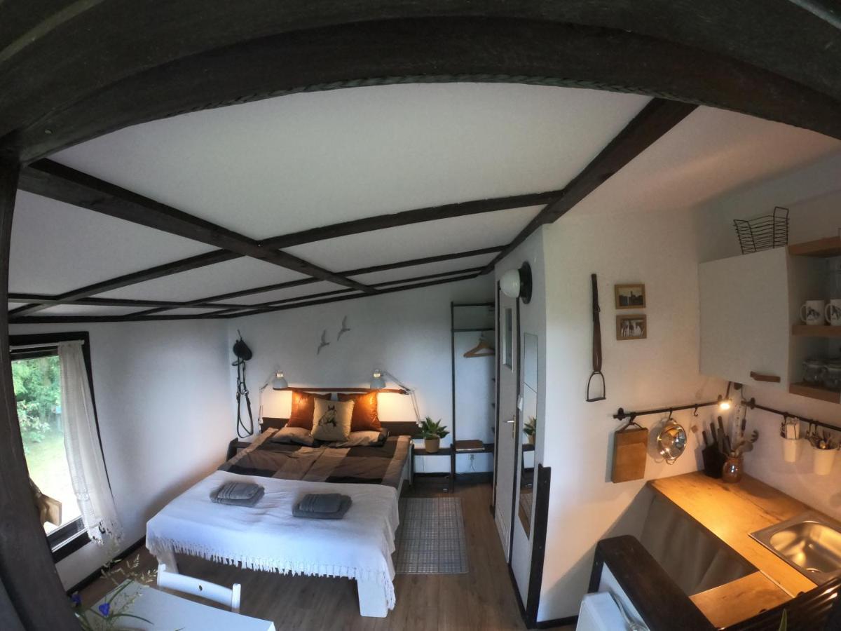 Apartamenty Lajkonik Dąbrówno Dış mekan fotoğraf