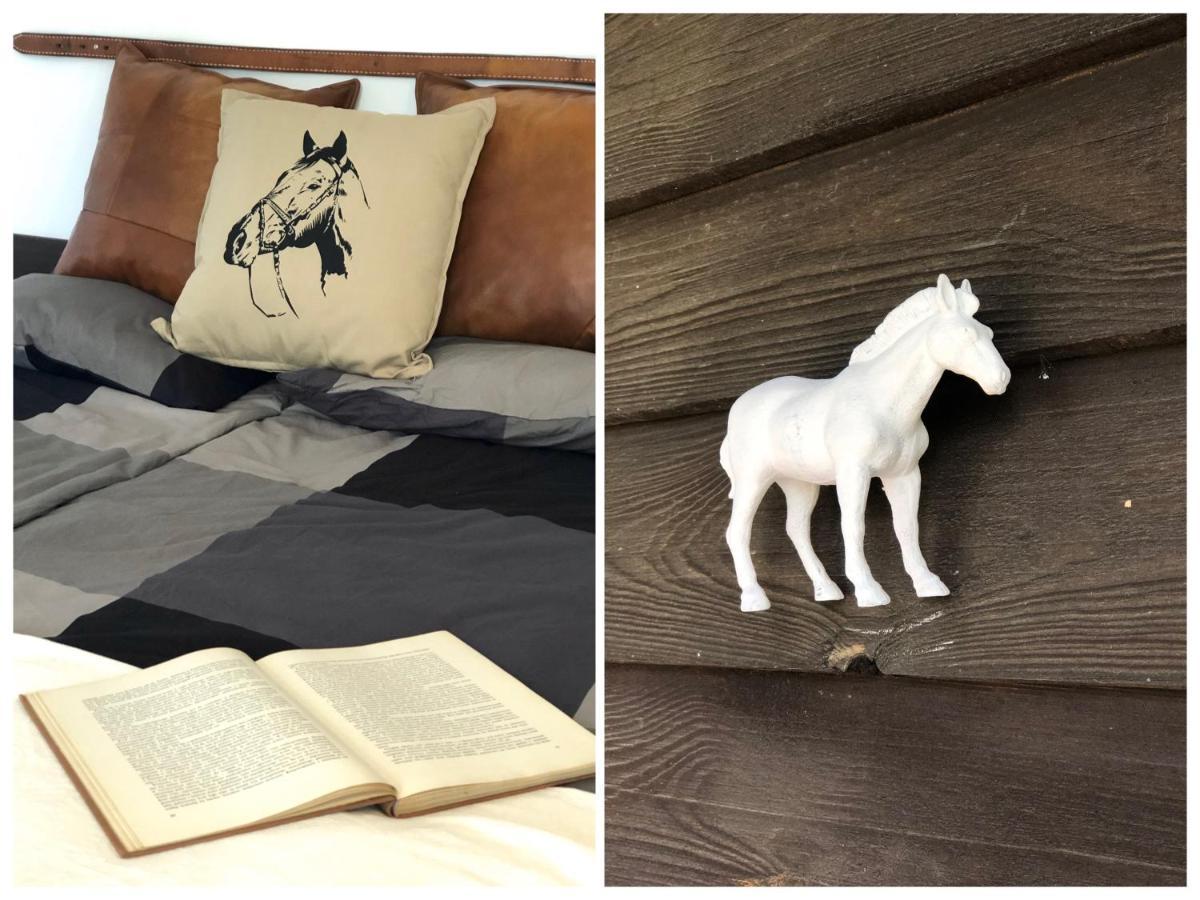 Apartamenty Lajkonik Dąbrówno Dış mekan fotoğraf