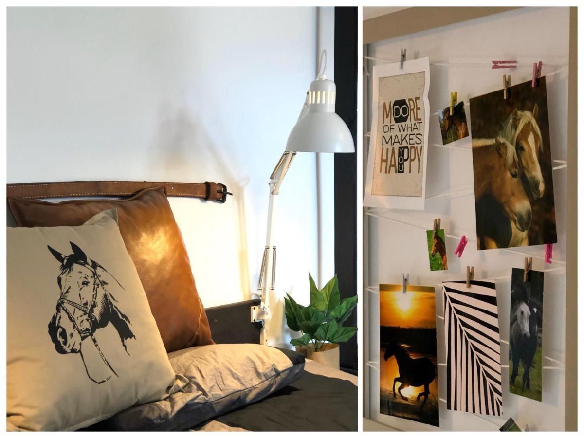 Apartamenty Lajkonik Dąbrówno Dış mekan fotoğraf